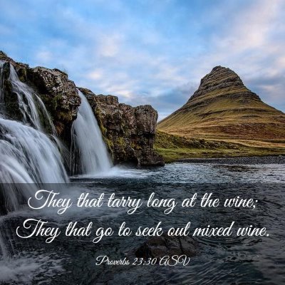 Picture 03 - Proverbs 23:30 ASV - They that tarry long at the wine; They that go to - Bible Verse Picture