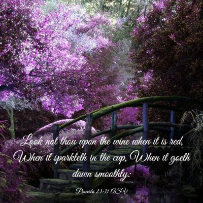 Picture 03 - Proverbs 23:31 ASV - Look not thou upon the wine when it is red, When - Bible Verse Picture