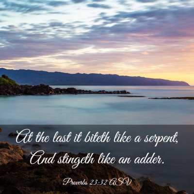 Picture 03 - Proverbs 23:32 ASV - At the last it biteth like a serpent, And - Bible Verse Picture