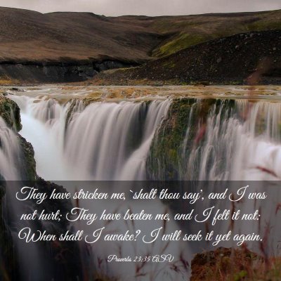 Picture 03 - Proverbs 23:35 ASV - They have stricken me, `shalt thou say', and I - Bible Verse Picture