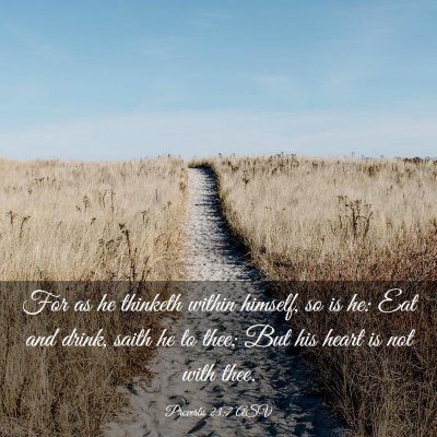 Picture 03 - Proverbs 23:7 ASV - For as he thinketh within himself, so is he: Eat - Bible Verse Picture