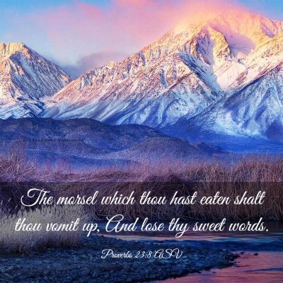 Picture 03 - Proverbs 23:8 ASV - The morsel which thou hast eaten shalt thou vomit - Bible Verse Picture