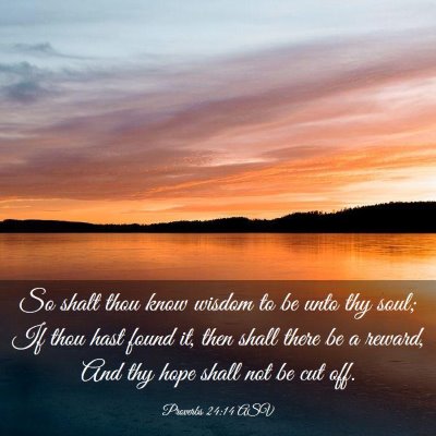 Picture 03 - Proverbs 24:14 ASV - So shalt thou know wisdom to be unto thy soul; If - Bible Verse Picture