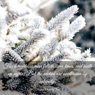 Picture 03 - Proverbs 24:16 ASV - For a righteous man falleth seven times, and - Bible Verse Picture