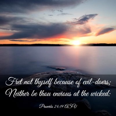 Picture 03 - Proverbs 24:19 ASV - Fret not thyself because of evil-doers; Neither - Bible Verse Picture