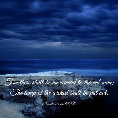 Picture 03 - Proverbs 24:20 ASV - For there shall be no reward to the evil man; The - Bible Verse Picture