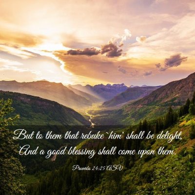 Picture 03 - Proverbs 24:25 ASV - But to them that rebuke `him' shall be delight, - Bible Verse Picture