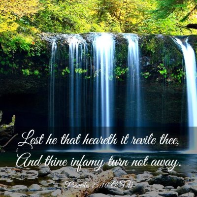 Picture 03 - Proverbs 25:10 ASV - Lest he that heareth it revile thee, And thine - Bible Verse Picture