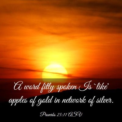 Picture 03 - Proverbs 25:11 ASV - A word fitly spoken Is `like' apples of gold in - Bible Verse Picture