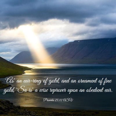 Picture 03 - Proverbs 25:12 ASV - `As' an ear-ring of gold, and an ornament of fine - Bible Verse Picture