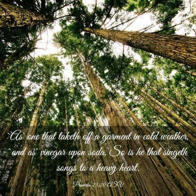 Picture 03 - Proverbs 25:20 ASV - `As' one that taketh off a garment in cold - Bible Verse Picture