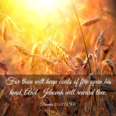 Picture 03 - Proverbs 25:22 ASV - For thou wilt heap coals of fire upon his head, - Bible Verse Picture