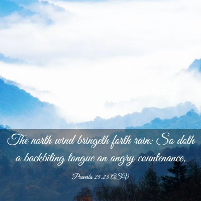 Picture 03 - Proverbs 25:23 ASV - The north wind bringeth forth rain: So doth a - Bible Verse Picture