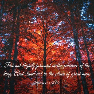 Picture 03 - Proverbs 25:6 ASV - Put not thyself forward in the presence of the - Bible Verse Picture
