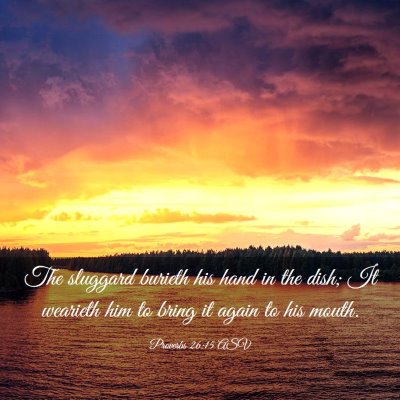 Picture 03 - Proverbs 26:15 ASV - The sluggard burieth his hand in the dish; It - Bible Verse Picture