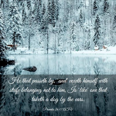 Picture 03 - Proverbs 26:17 ASV - He that passeth by, `and' vexeth himself with - Bible Verse Picture