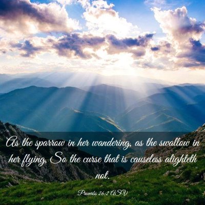 Picture 03 - Proverbs 26:2 ASV - As the sparrow in her wandering, as the swallow - Bible Verse Picture
