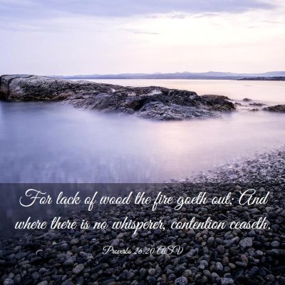 Picture 03 - Proverbs 26:20 ASV - For lack of wood the fire goeth out; And where - Bible Verse Picture