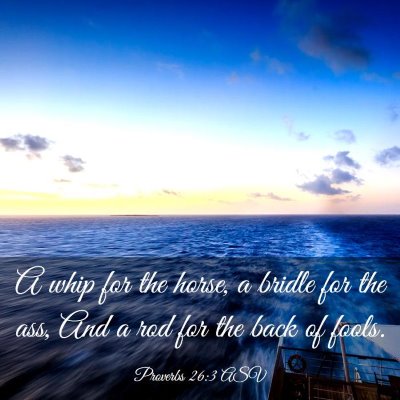 Picture 03 - Proverbs 26:3 ASV - A whip for the horse, a bridle for the ass, And a - Bible Verse Picture