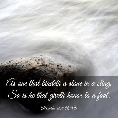 Picture 03 - Proverbs 26:8 ASV - As one that bindeth a stone in a sling, So is he - Bible Verse Picture