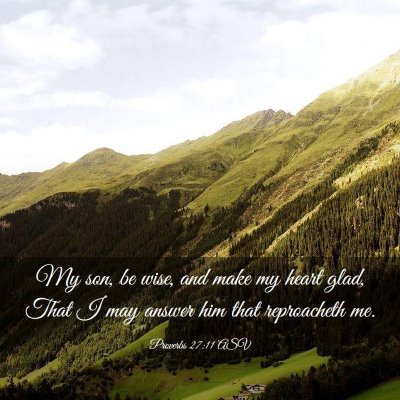 Picture 03 - Proverbs 27:11 ASV - My son, be wise, and make my heart glad, That I - Bible Verse Picture