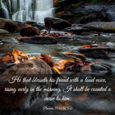 Picture 03 - Proverbs 27:14 ASV - He that blesseth his friend with a loud voice, - Bible Verse Picture