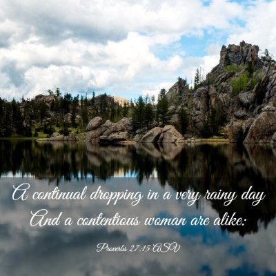 Picture 03 - Proverbs 27:15 ASV - A continual dropping in a very rainy day And a - Bible Verse Picture