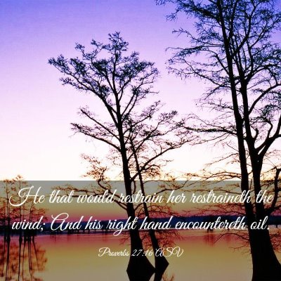 Picture 03 - Proverbs 27:16 ASV - He that would restrain her restraineth the wind; - Bible Verse Picture