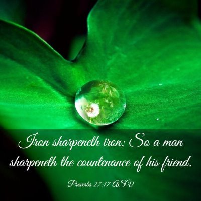Picture 03 - Proverbs 27:17 ASV - Iron sharpeneth iron; So a man sharpeneth the - Bible Verse Picture