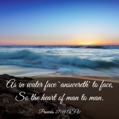 Picture 03 - Proverbs 27:19 ASV - As in water face `answereth' to face, So the - Bible Verse Picture