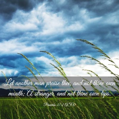 Picture 03 - Proverbs 27:2 ASV - Let another man praise thee, and not thine own - Bible Verse Picture