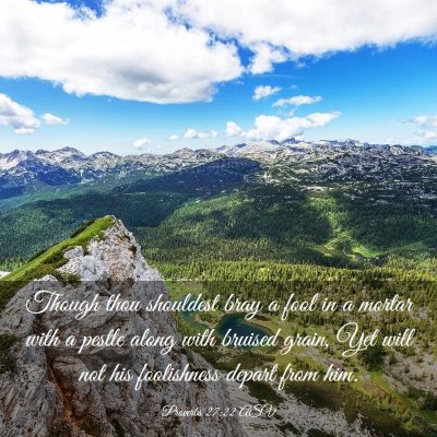 Picture 03 - Proverbs 27:22 ASV - Though thou shouldest bray a fool in a mortar - Bible Verse Picture