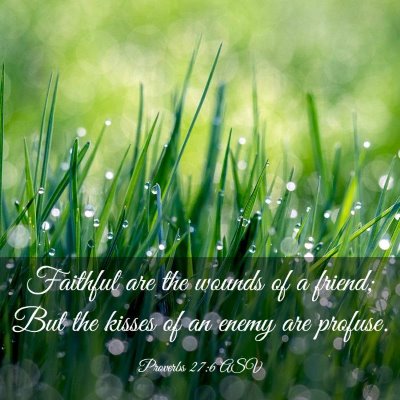 Picture 03 - Proverbs 27:6 ASV - Faithful are the wounds of a friend; But the - Bible Verse Picture
