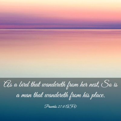 Picture 03 - Proverbs 27:8 ASV - As a bird that wandereth from her nest, So is a - Bible Verse Picture