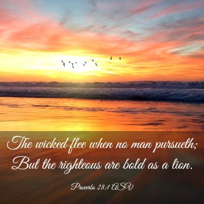 Picture 03 - Proverbs 28:1 ASV - The wicked flee when no man pursueth; But the - Bible Verse Picture