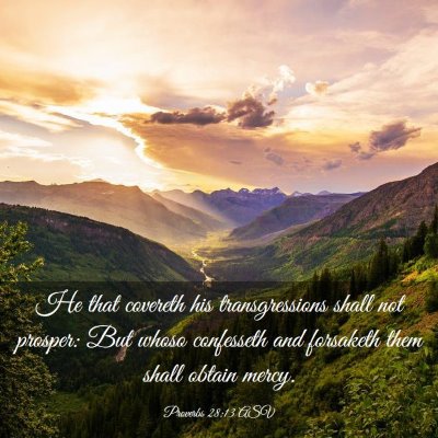Picture 03 - Proverbs 28:13 ASV - He that covereth his transgressions shall not - Bible Verse Picture