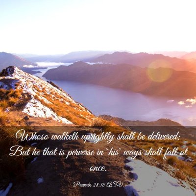 Picture 03 - Proverbs 28:18 ASV - Whoso walketh uprightly shall be delivered; But - Bible Verse Picture