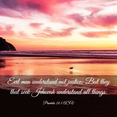 Picture 03 - Proverbs 28:5 ASV - Evil men understand not justice; But they that - Bible Verse Picture