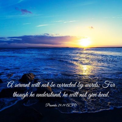 Picture 03 - Proverbs 29:19 ASV - A servant will not be corrected by words; For - Bible Verse Picture
