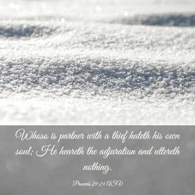Picture 03 - Proverbs 29:24 ASV - Whoso is partner with a thief hateth his own - Bible Verse Picture