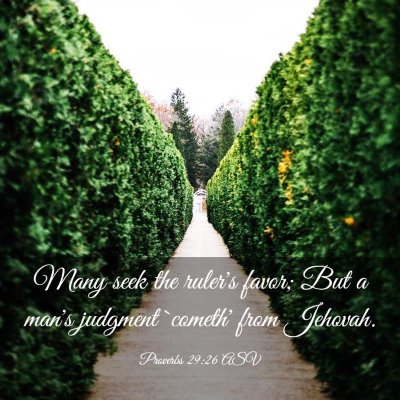 Picture 03 - Proverbs 29:26 ASV - Many seek the ruler's favor; But a man's judgment - Bible Verse Picture