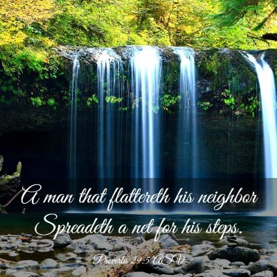 Picture 03 - Proverbs 29:5 ASV - A man that flattereth his neighbor Spreadeth a - Bible Verse Picture
