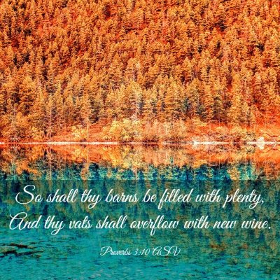 Picture 03 - Proverbs 3:10 ASV - So shall thy barns be filled with plenty, And thy - Bible Verse Picture