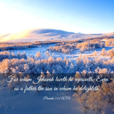 Picture 03 - Proverbs 3:12 ASV - For whom Jehovah loveth he reproveth; Even as a - Bible Verse Picture