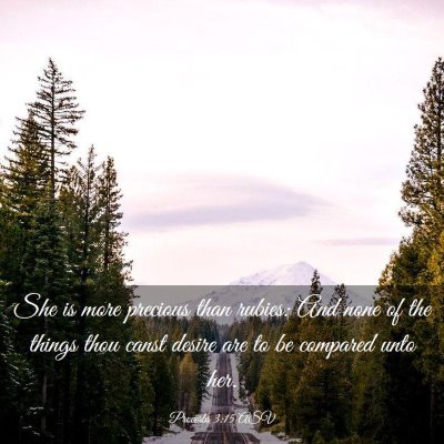 Picture 03 - Proverbs 3:15 ASV - She is more precious than rubies: And none of the - Bible Verse Picture