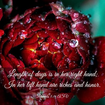 Picture 03 - Proverbs 3:16 ASV - Length of days is in her right hand; In her left - Bible Verse Picture