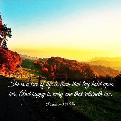 Picture 03 - Proverbs 3:18 ASV - She is a tree of life to them that lay hold upon - Bible Verse Picture