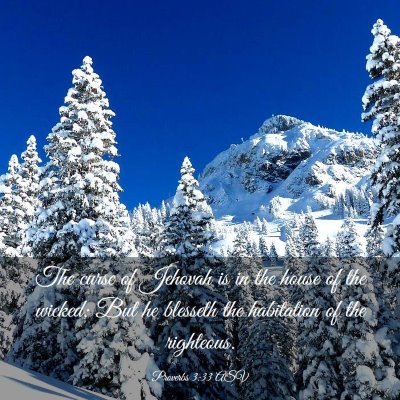 Picture 03 - Proverbs 3:33 ASV - The curse of Jehovah is in the house of the - Bible Verse Picture