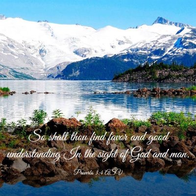 Picture 03 - Proverbs 3:4 ASV - So shalt thou find favor and good understanding - Bible Verse Picture