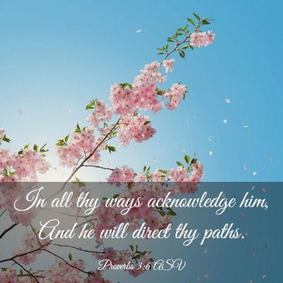 Picture 03 - Proverbs 3:6 ASV - In all thy ways acknowledge him, And he will - Bible Verse Picture